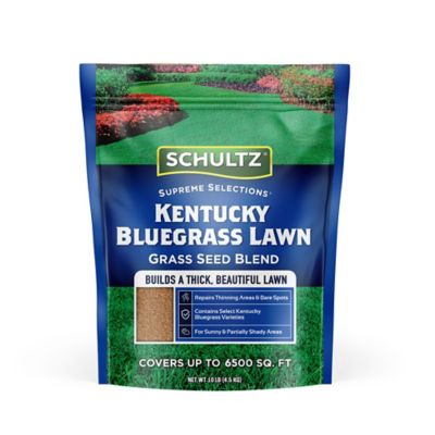 Schultz 10 lb. Kentucky Bluegrass Grass Seed Blend, Covers up to 6,500 sq. ft.