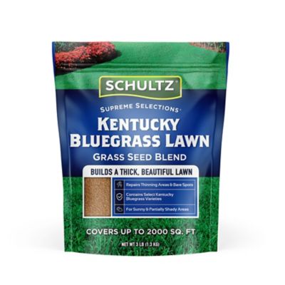 Schultz 3 lb. Kentucky Bluegrass Grass Seed Blend, Covers up to 2,000 sq. ft.