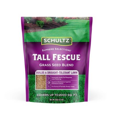 Schultz 10 lb. Tall Fescue Grass Seed Blend, Covers up to 2,000 sq. ft.
