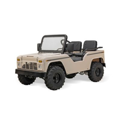 Massimo Mini Truck