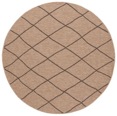 Safavieh Retreat 256 Indoor and Outdoor Rug