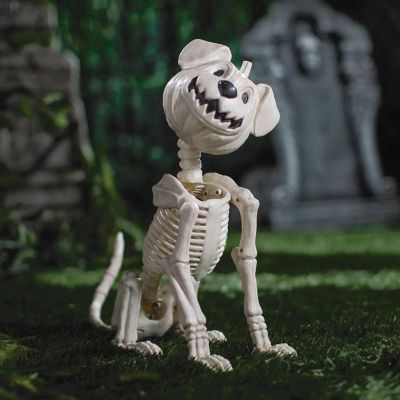 Seasons Sitting Pumpkin-Head Dog Skeleton Halloween Decoration, 24 1/4 in.