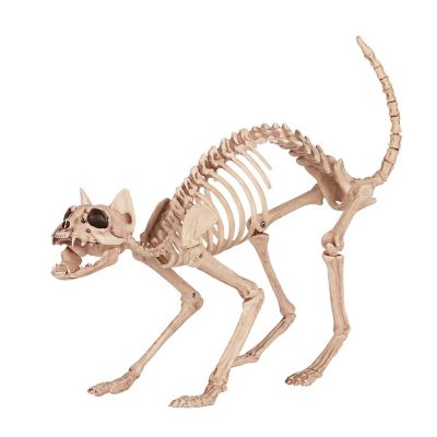 Seasons Cat Skeleton Halloween Decoration, 10.5 x 18 x 5.5in., Beige