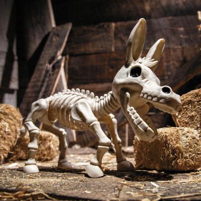 Seasons 9 1/4 in. Standing Donkey Skeleton Halloween Decoration