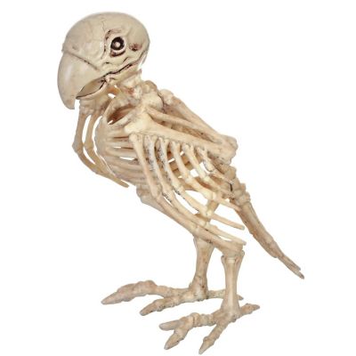 Seasons Parrot Skeleton Prop Halloween Decoration, 7.6 x 7.5 x 4.6in., Off-White