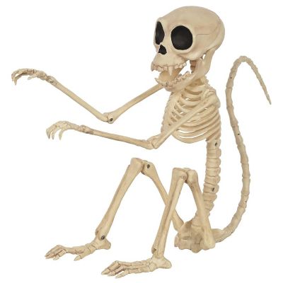 Seasons Monkey Skeleton