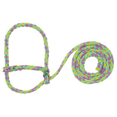 Weaver Livestock Poly Rope Sheet/Goat Halter, Aqua/Pink/Yellow