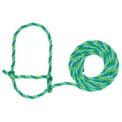 Weaver Livestock Cattle Rope Halter, Lime/Mint/Teal