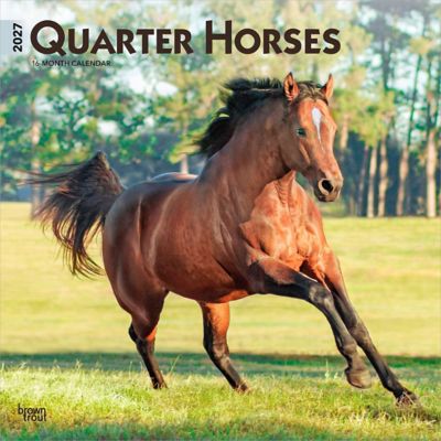 Brown Trout Quarter Horses 2027 Square Flap