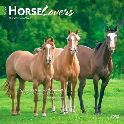 Brown Trout Horse Lovers 2027 Square Flap