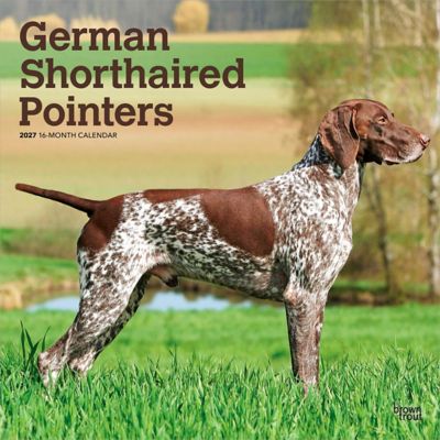 Brown Trout German Shorthaired Pointers 2027 Square Flap