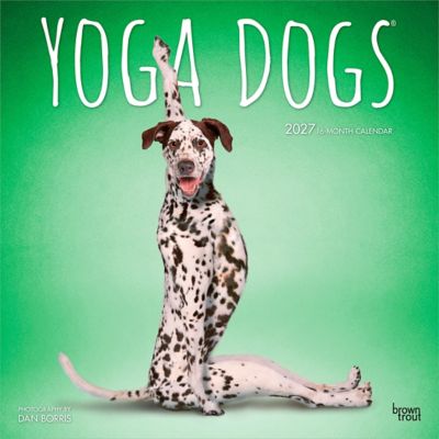 Brown Trout Yoga Dogs 2027 Square Flap
