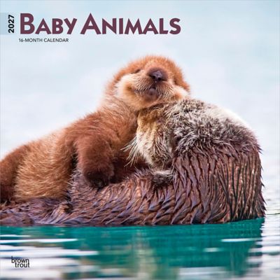 Brown Trout Baby Animals 2027 Square Flap