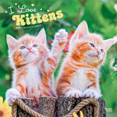 Brown Trout Kittens, I Love 2027 Square Flap
