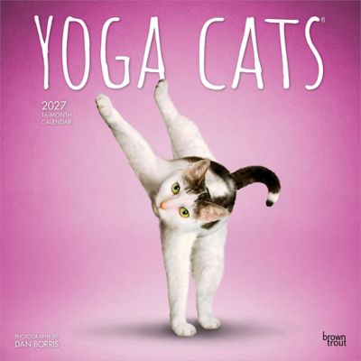 Brown Trout 2027 Yoga Cats Square Flap Calendar