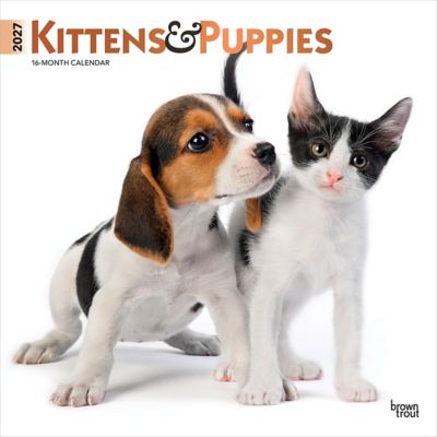 Brown Trout Kittens & Puppies 2027 Square Flap FOIL