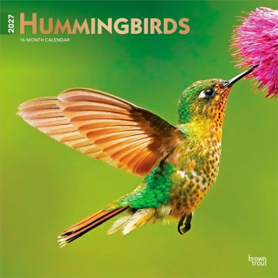 Brown Trout Hummingbirds 2027 Square Flap Foil