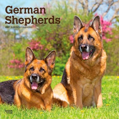Brown Trout German Shepherds 2027 Square Flap