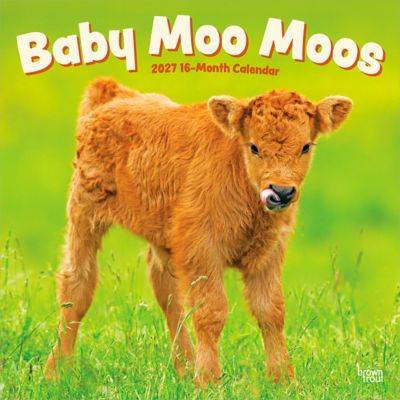 Brown Trout Baby Moo Moos 2027 Square Flap