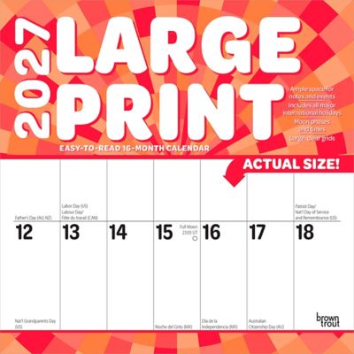 Brown Trout Large Print 2027 Square Flap Matte