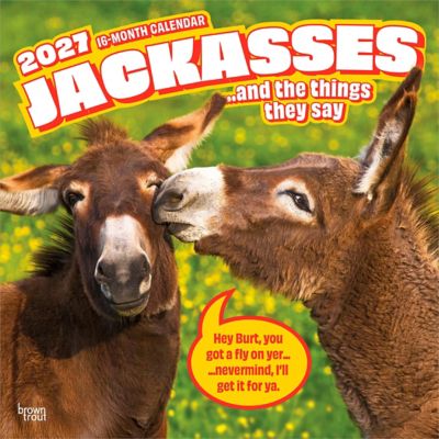 Brown Trout Jackasses 2027 Square Flap