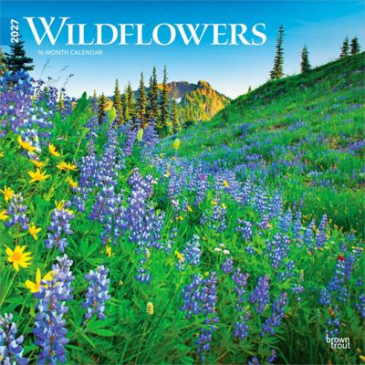 Brown Trout 2027 Wildflowers Square Flap Calendar