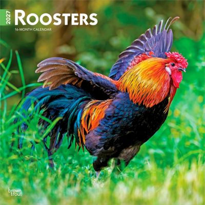 Brown Trout Roosters 2027 Square Flap
