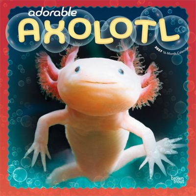 Brown Trout Adorable Axolotl 2027 Square Flap