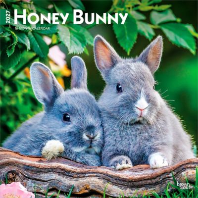 Brown Trout 2027 Honey Bunny Square Flap Calendar