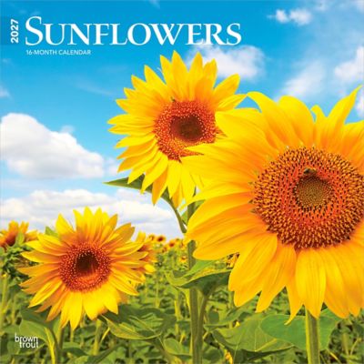 Brown Trout Sunflowers 2027 Square Flap
