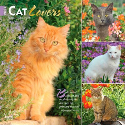 Brown Trout Cat Lovers 2027 Square Flap Foil