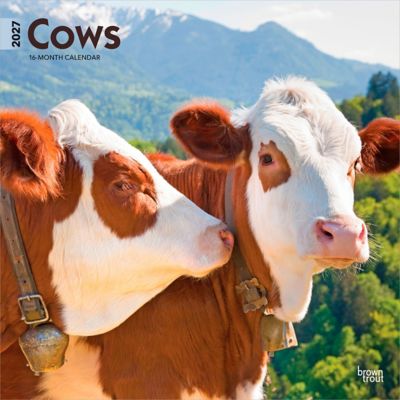 Brown Trout Cows 2027 Square Flap