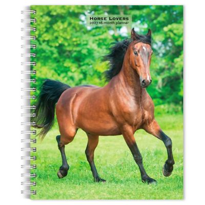 Brown Trout Horse Lovers 2027 Engagement