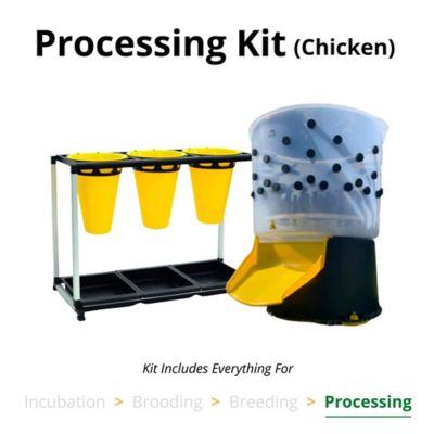 Hatching Time Processing Kit, Chicken