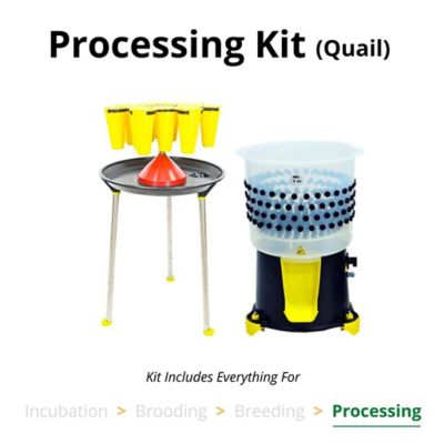 Hatching Time Processing Kit, Quail