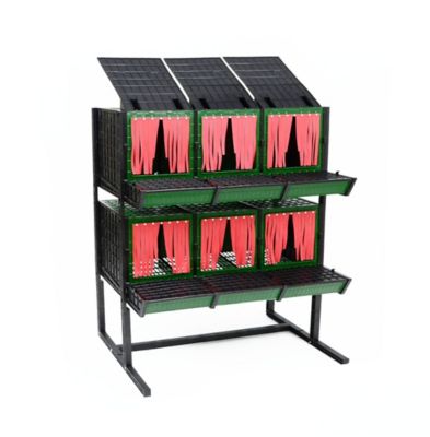 Hatching Time Nesting Box, 6 Sections, Front Collection
