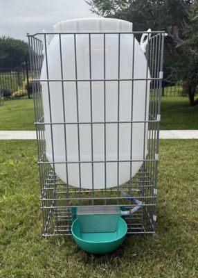 Zylina Hydration Station for Chickens 13 gal.