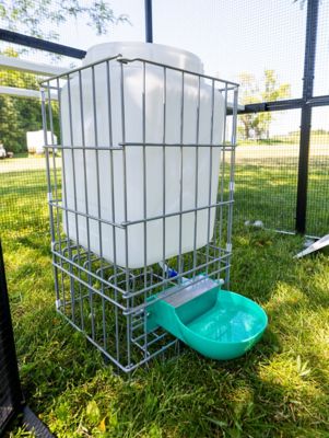 Zylina Hydration Station for Chickens 6.5 gal.