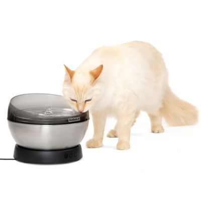 PetSafe HydroSphere 60 oz. Stainless Steel Fountain