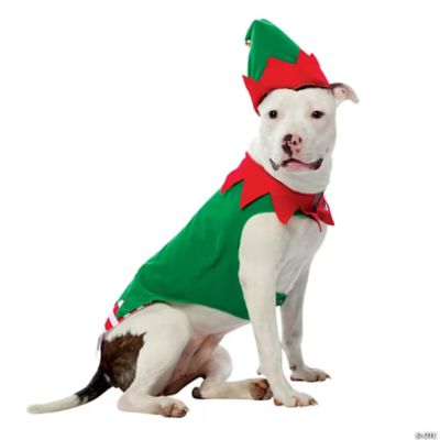 Imposta Costumes Elf Pet Costume, Medium