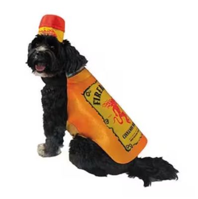 Imposta Costumes Fireball Bottle Dog Costume, Medium-Large