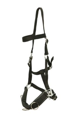 Huntley Equestrian Nylon Padded Lunging Caveson