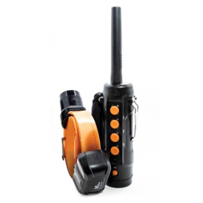DT Systems Super Pro Ranger 5300 Upland Remote Dog Training Collar