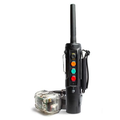 DT Systems Super Pro Ranger 5000 Long Range Remote Dog Training Collar