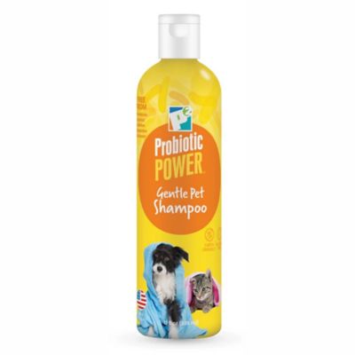 Pet Shampoo