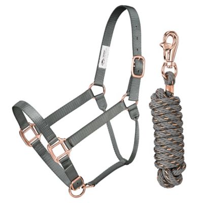Tough1 Premium Nylon Halter and Lead with Rose Gold Hardware