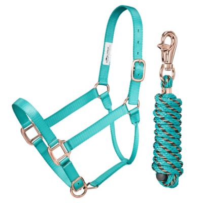 Product color Teal