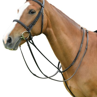 Dublin Standing Martingale