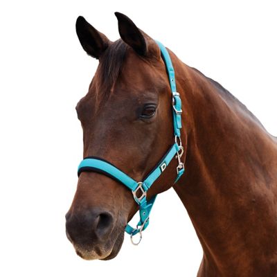 Product color Dark Turquoise