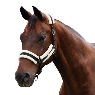 Dublin Soft Fit Breakaway Headcollar